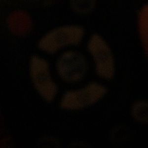 Meet your Posher, Gavin